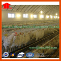 Jinfeng Layer Chicken Farm Cage